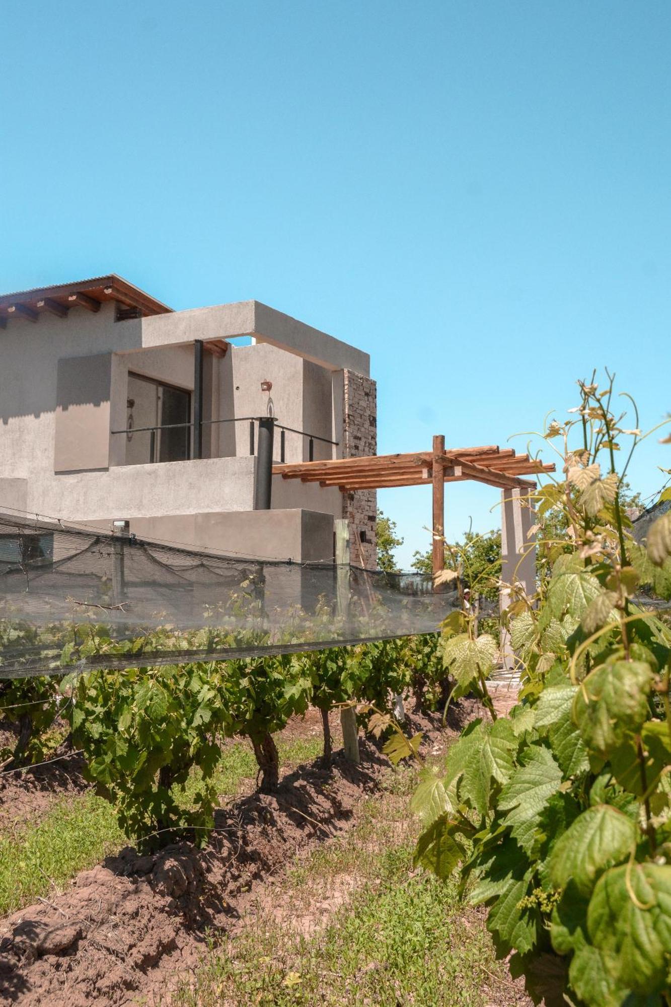 Agrelo Vines Lodge Bagian luar foto