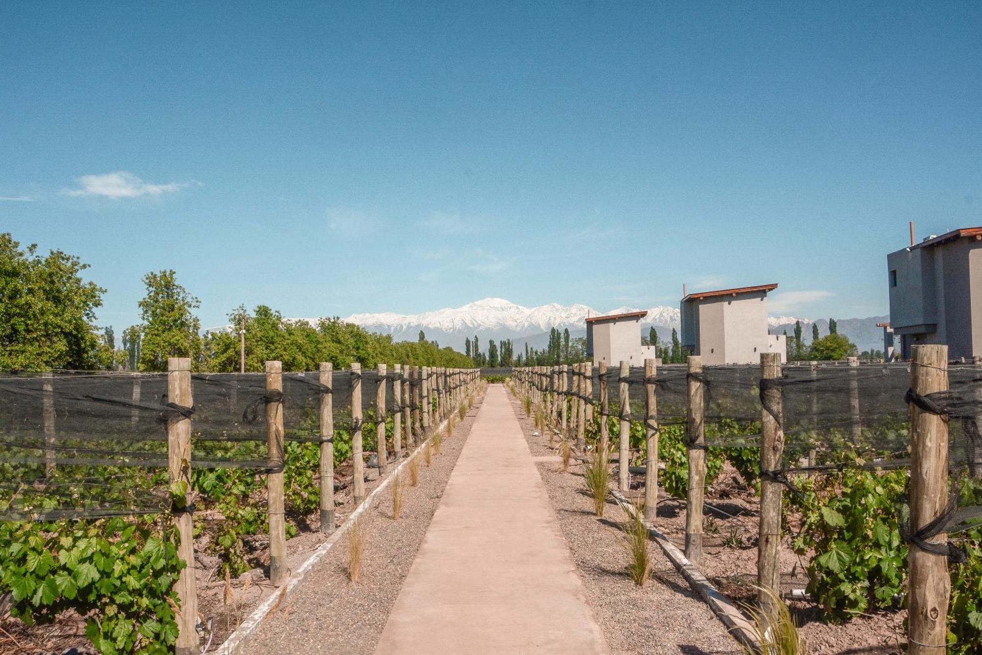 Agrelo Vines Lodge Bagian luar foto