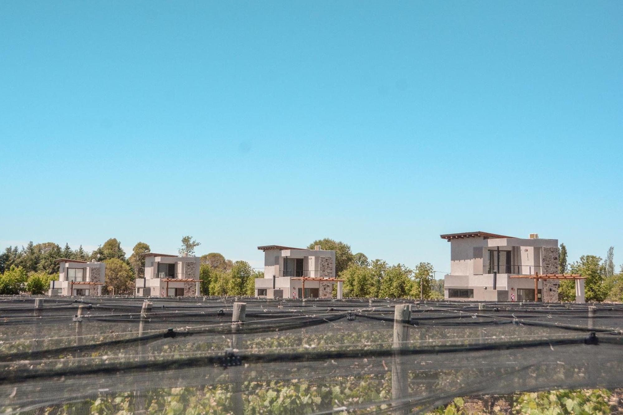 Agrelo Vines Lodge Bagian luar foto