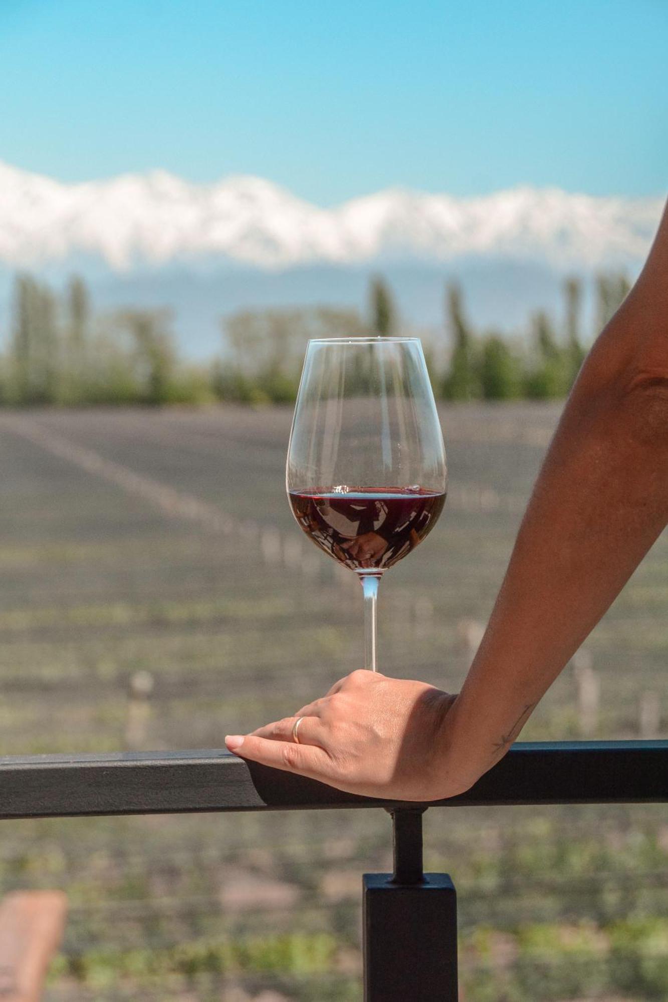 Agrelo Vines Lodge Bagian luar foto