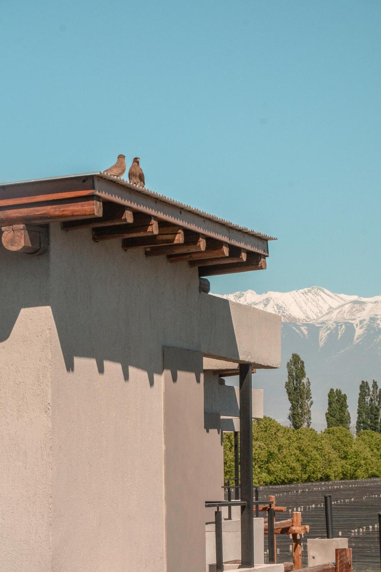 Agrelo Vines Lodge Bagian luar foto
