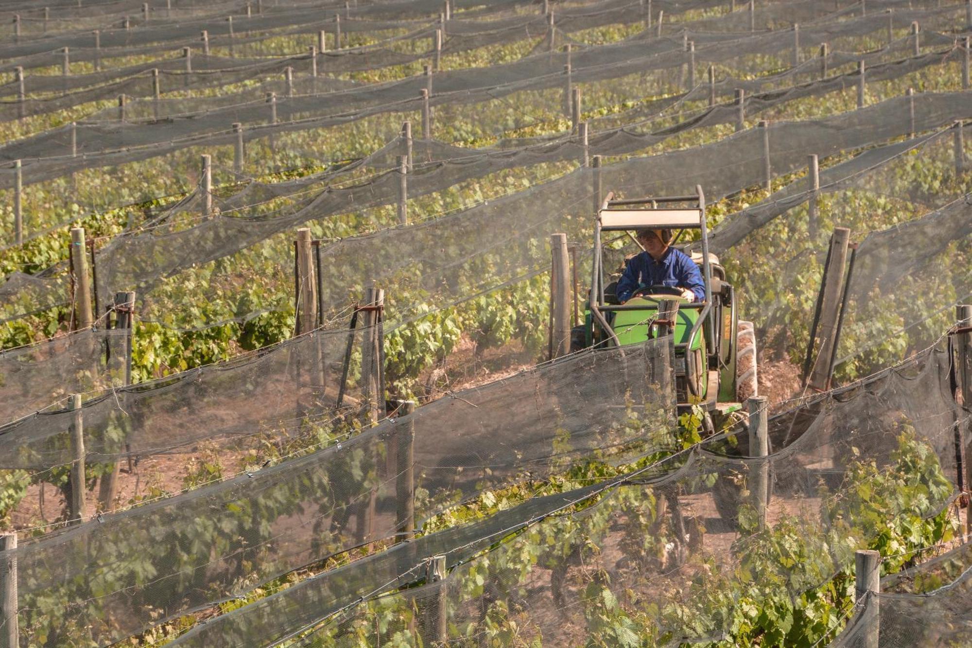 Agrelo Vines Lodge Bagian luar foto