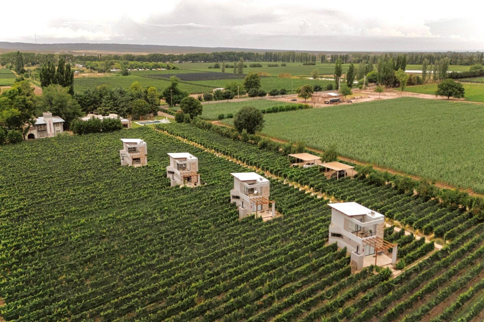 Agrelo Vines Lodge Bagian luar foto